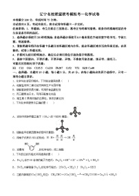 黑龙江省哈尔滨市双城区兆麟中学2024-2025学年高三上学期8月模拟考试化学试卷