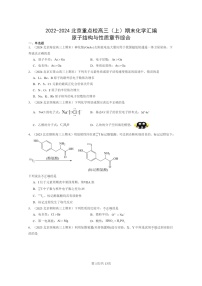 [化学]2022～2024北京重点校高三上学期期末真题分类汇编：原子结构与性质章节综合