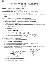 河北省新时代NT教育2024-2025学年高三上学期入学摸底测试 化学试卷