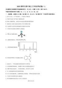 湖南师大附中2025届高三上学期第一次月考化学试卷+答案
