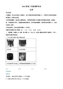 河南省新乡市多校2025届高三上学期调研联考（一模）化学试题（解析版）