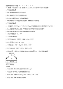 山东省泰安市2023_2024学年高二化学上学期12月月考试题含解析