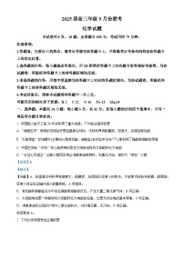 四川省绵阳中学2024-2025学年高三上学期开学考试化学试题（Word版附解析）