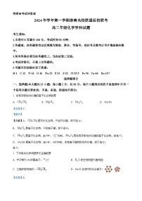 浙江省浙南名校联盟2024-2025学年高二上学期8月返校联考化学试题（Word版附解析）