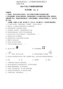 2024-2025学年山东省青岛高三上学期期初调研检测化学试题（附参考答案）