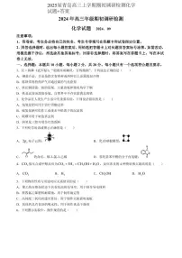 2024-2025学年山东省青岛高三上学期期初调研检测化学试题（附参考答案）