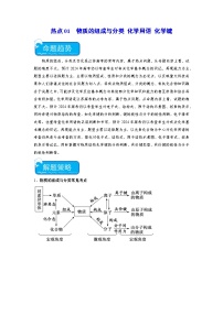 新高考化学二轮复习培优练习热点01  物质的组成与分类 化学用语 化学键（2份打包，原卷版+解析版）