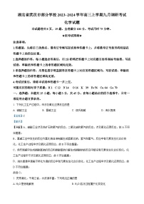 湖北省武汉市部分学校2023-2024学年高三上学期9月调研考试化学试题 Word版含解析
