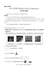 四川省2024-2025学年高三上学期入学摸底考试 化学 PDF版含解析