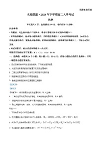 湖南名校联盟2024-2025学年高二上学期入学考试化学试题（解析版）