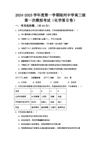 广东省汕尾市陆河县陆河中学2024-2025学年高三上学期第一次模拟考试+化学试题