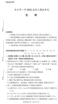 2025届湖南省长沙市第一中学高三上学期摸底考试化学试题及答案