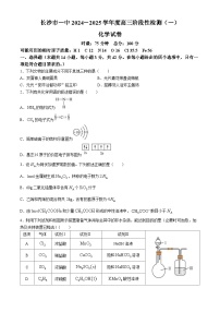 湖南省长沙市第一中学2024-2025学年高三上学期阶段性检测（一）化学试卷（Word版附解析）