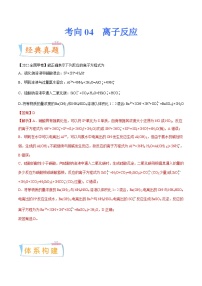 新高考化学一轮复习考点过关练考向04 离子反应（含解析）