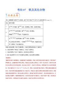 新高考化学一轮复习考点过关练考向07 铁及其化合物（含解析）