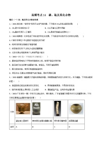 新高考化学二轮复习高频考点练习14 碳、硅及其化合物（解析版）