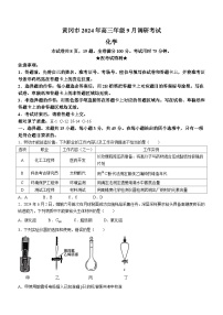 2025届湖北省黄冈市高三上学期9月调研考试一模 化学试题