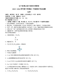 辽宁省重点高中沈阳市郊联体2023-2024学年高一下学期期末考试化学试题