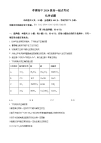 湖北省孝感高级中学2024-2025学年高一上学期9月起点考试化学试题（Word版附解析）