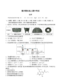 广东省潮州市暨实高级中学2023-2024学年高三上学期期中考试 化学试题