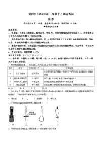 湖北省黄冈市2024-2025学年高三上学期9月调研考试化学试题（Word版附解析）