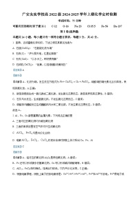 四川省广安友实学校2024-2025学年高三上学期开学考试化学试题（解析版）