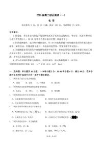 2025届广东华南师范大学附属中学高三上学期综合测试（月考）化学试题（含答案）