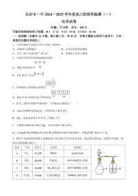 长沙一中2025届高三上学期阶段性检测（一）化学试题（含答案）