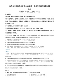 四川省宜宾市第三中学校2024-2025学年高二上学期开学考试化学试题（解析版）