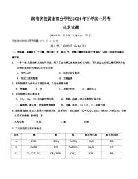 湖南省娄底市涟源市部分学校2024-2025学年高一上学期9月月考化学试题