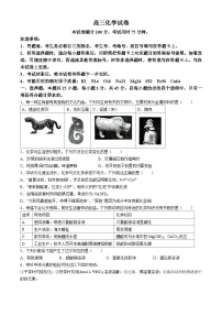 内蒙古赤峰市红山区部分学校联考2024-2025学年高三上学期9月月考化学试题(无答案)