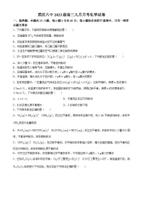 湖北省武汉市第六中学2024-2025学年高二上学期9月月考+化学试题(无答案)