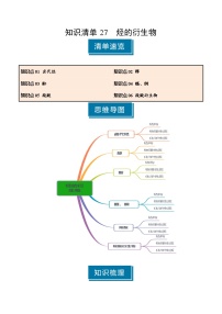 知识清单27 烃的衍生物（含答案） 2025年高考化学一轮复习知识清单