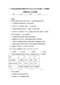 广东省汕尾市陆河县陆河中学2024-2025学年高三上学期第一次模拟考试化学试题