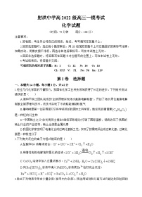 四川省遂宁市射洪中学2024-2025学年高三上学期一模化学试卷（Word版附答案）