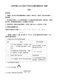 云南省大理白族自治州大理市2025届高三上学期区域性规模化统一检测 化学试题（含解析）