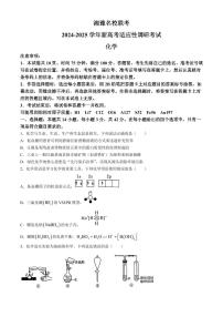 2025届湘豫名校高三上学期9月新高考适应性调研考试化学试题+答案