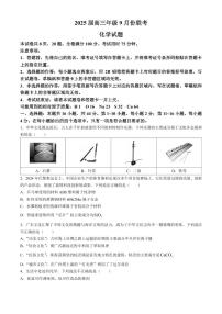 2025届广东高三衡水上学期9月联考化学试题+答案