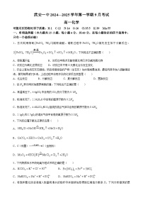 河北省邯郸市武安市第一中学2024-2025学年高一上学期9月月考化学试题(无答案)