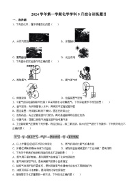 广东省广州市真光中学2024-2025学年高一上学期9月综合训练  化学试题(无答案)