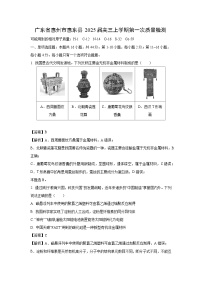 [化学]广东省惠州市惠东县2025届高三上学期第一次质量检测月考(解析版)