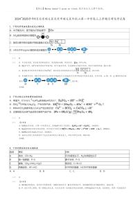 [化学]2024～2025学年9月北京顺义区北京市顺义区牛栏山第一中学高三上学期月考化学试卷(原题版+解析版)