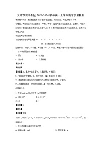 【化学】天津市滨海新区2023-2024学年高一上学期期末质量检测（解析版）