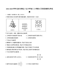 2024-2025学年北京市第五十五中学高三上学期8月阶段调研化学试题（含答案）