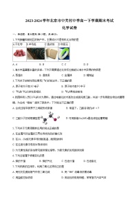 2023-2024学年北京市中关村中学高一下学期期末考试化学试卷（含答案）