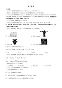 河南省九师联盟2024-2025学年高三上学期9月联合检测 化学试题（含答案）