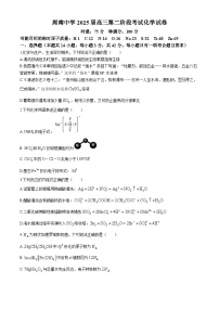 湖南省长沙市周南教育集团2024-2025学年高三上学期10月月考化学试题