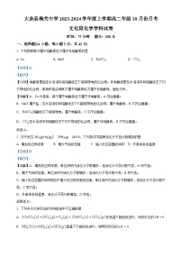 江西省赣州市大余县梅关中学2023-2024学年高二上学期10月月考化学试题（解析版）