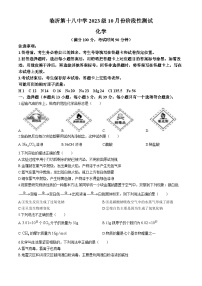 山东省临沂第十八中学2023-2024学年高一上学期10月份阶段性测试化学试题