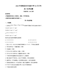 湖北省黄冈市黄梅国际育才高级中学2023-2024学年高二上学期10月月考化学试题（原卷版+解析版）